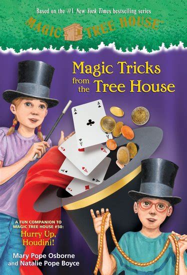 Preparing for Success: The Academic Advantage of Magic Tree House Preschool